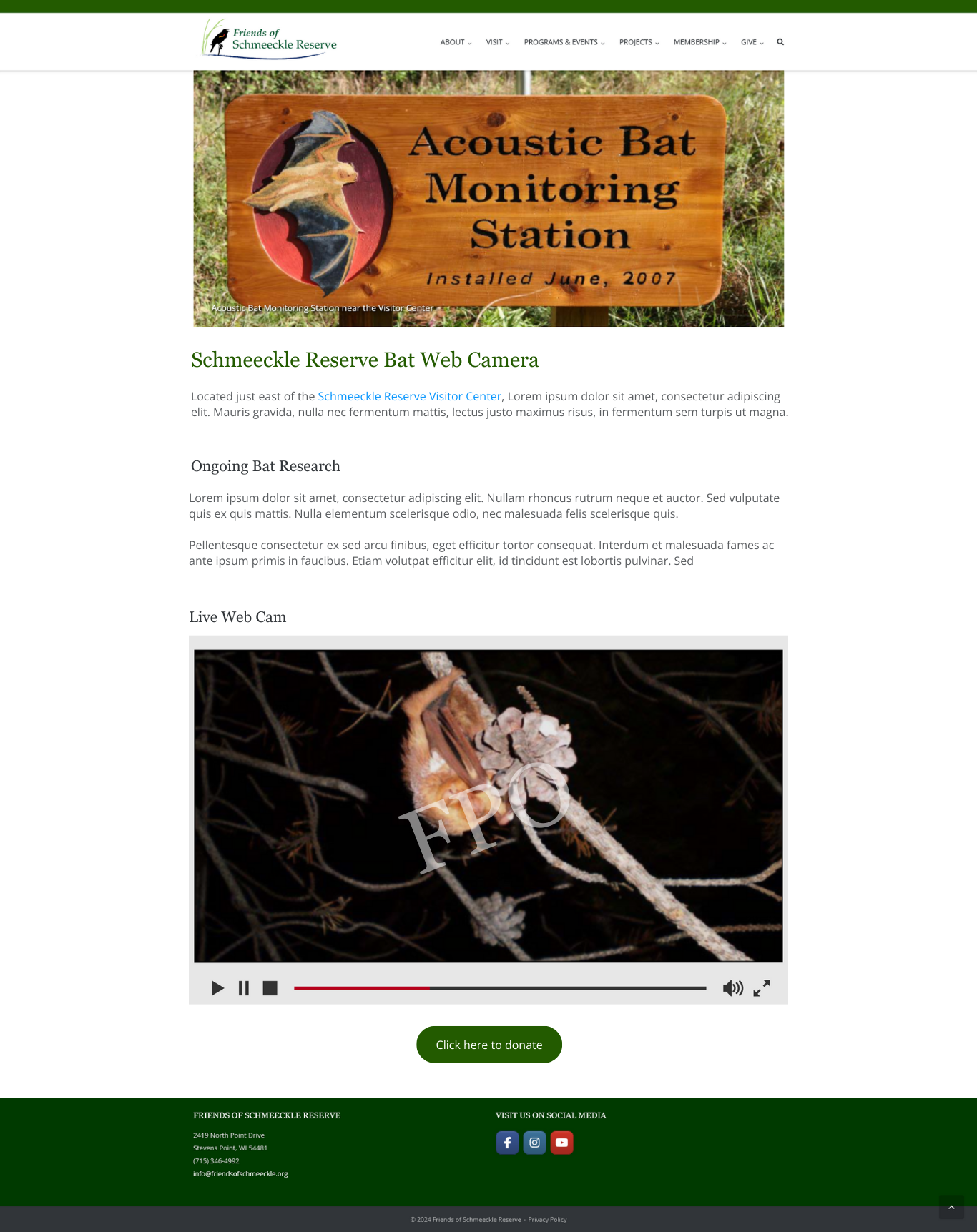 A photo of a bat webcam page on the friend's of schmeeckle website